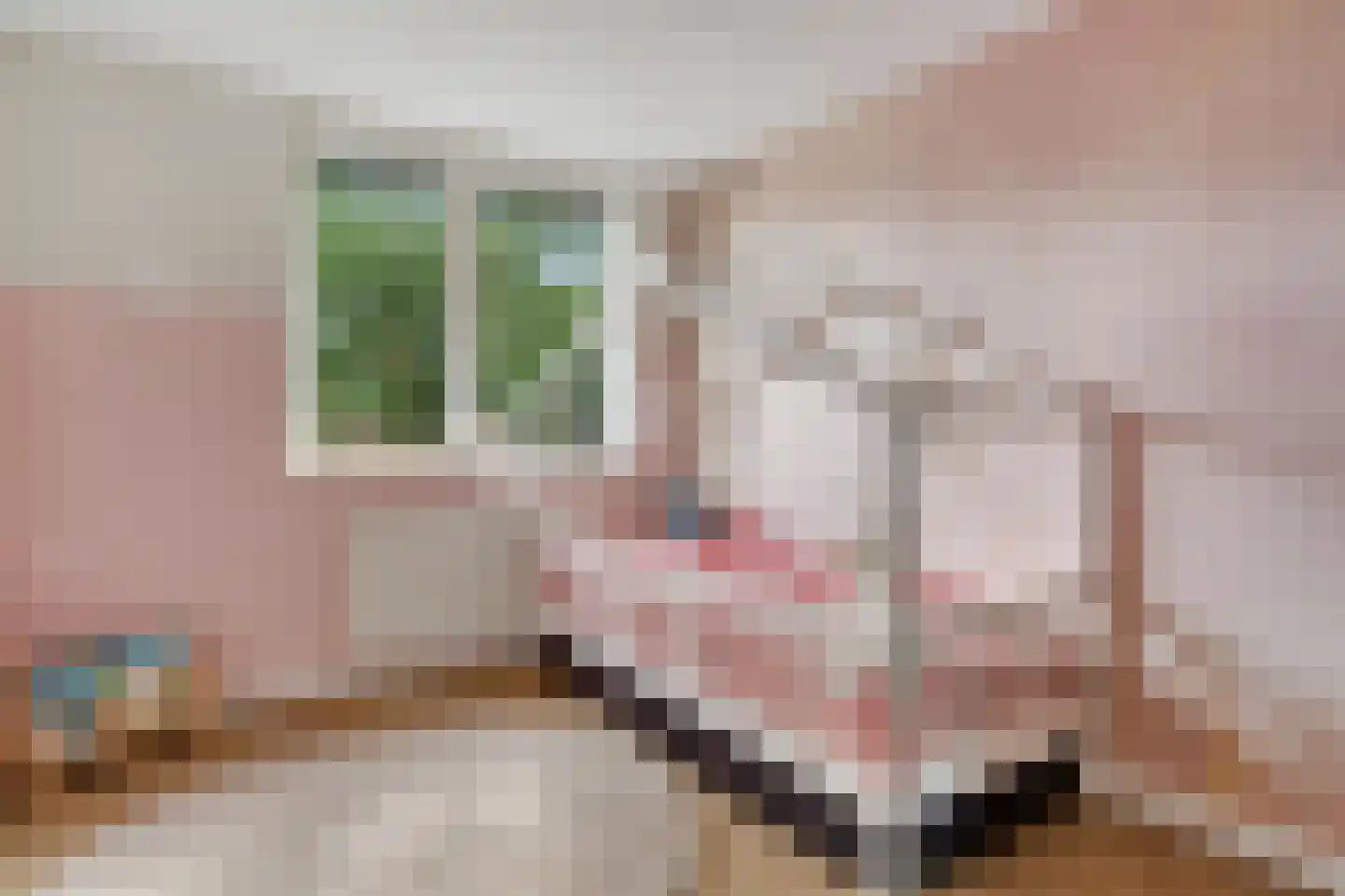 Penningkruid 16 Vroomshoop thumbnail 23