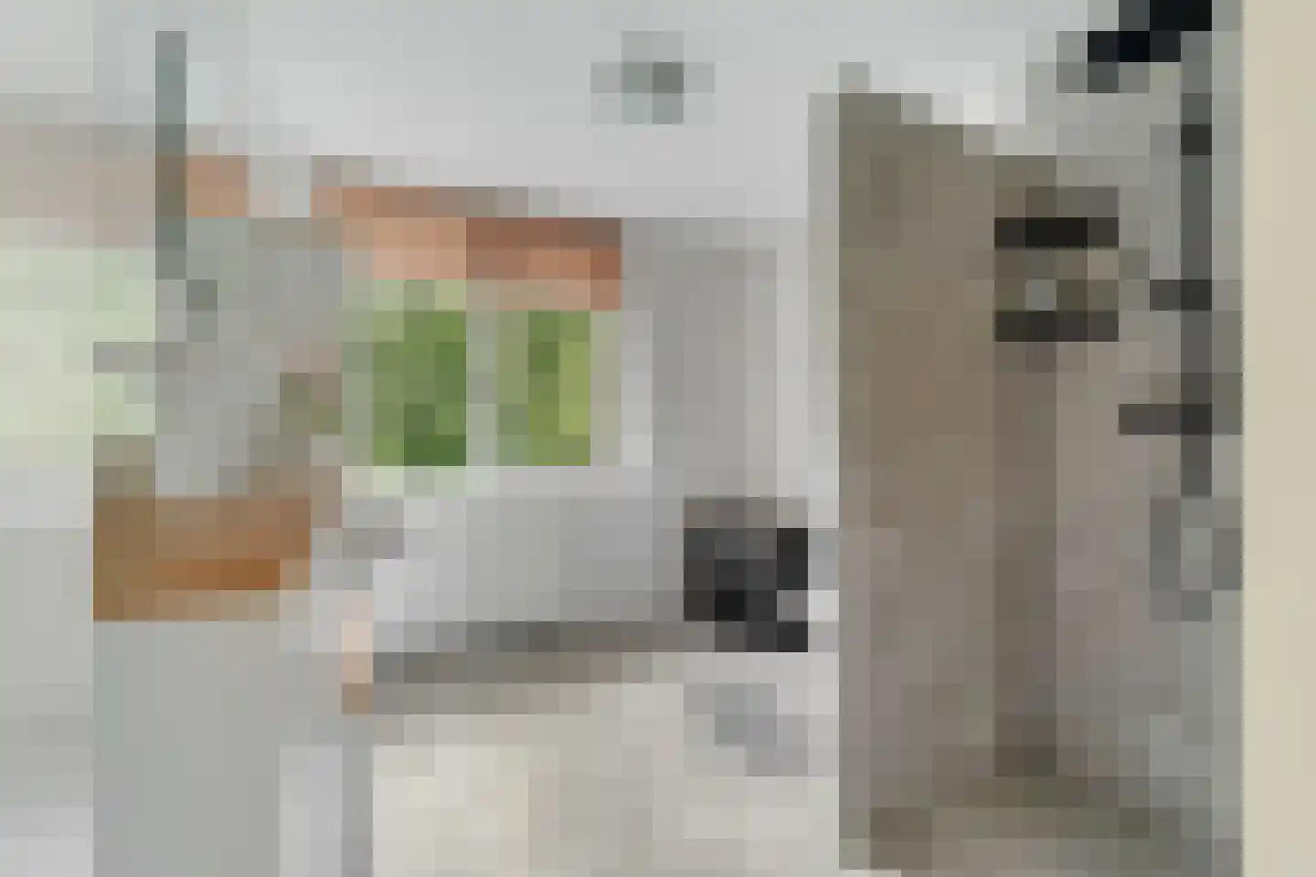 Penningkruid 16 Vroomshoop thumbnail 25