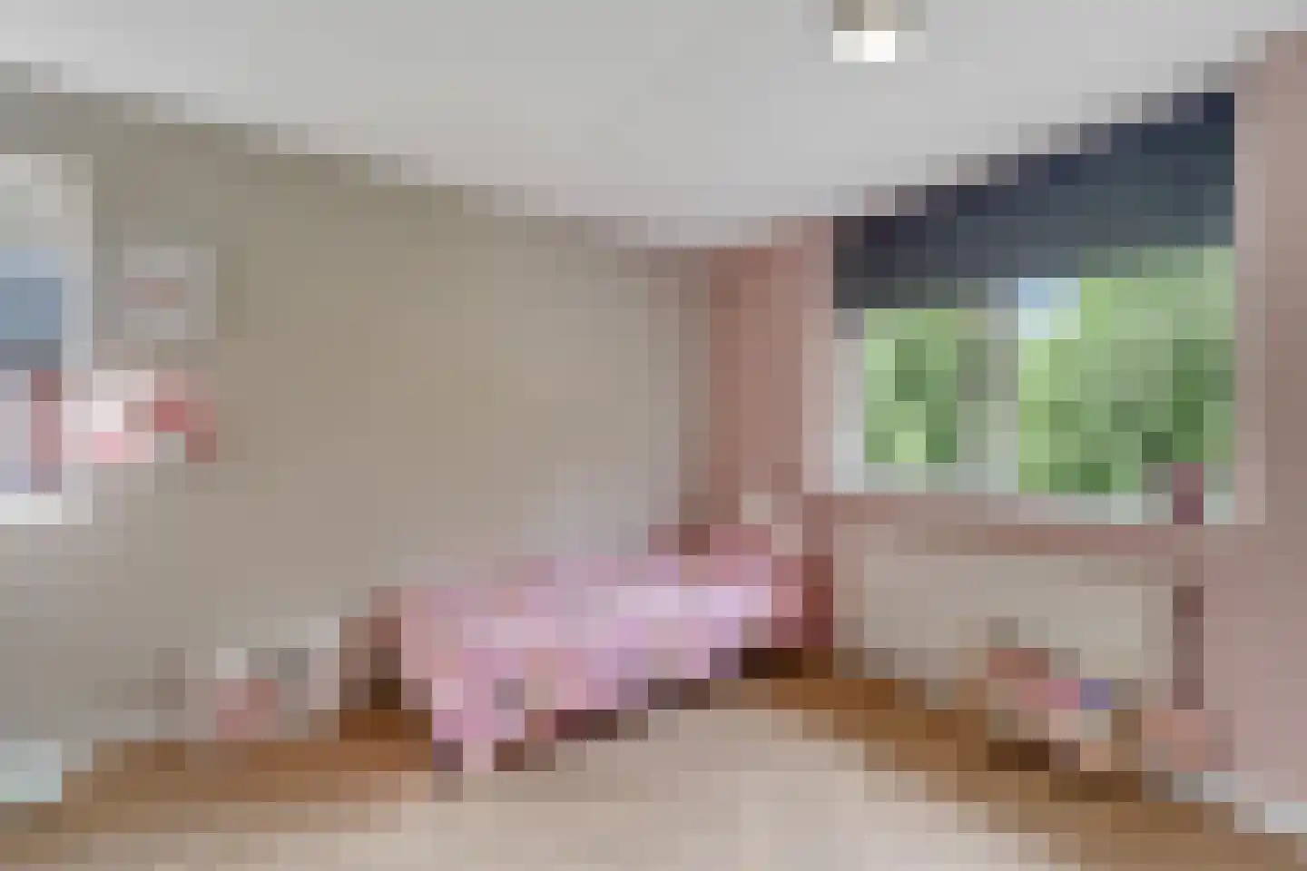 Penningkruid 16 Vroomshoop thumbnail 27