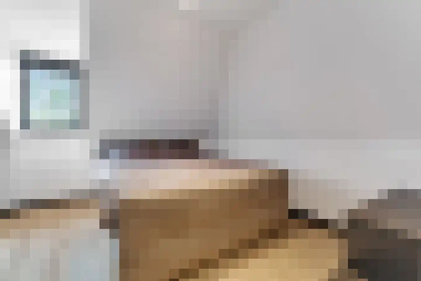 Penningkruid 16 Vroomshoop thumbnail 30