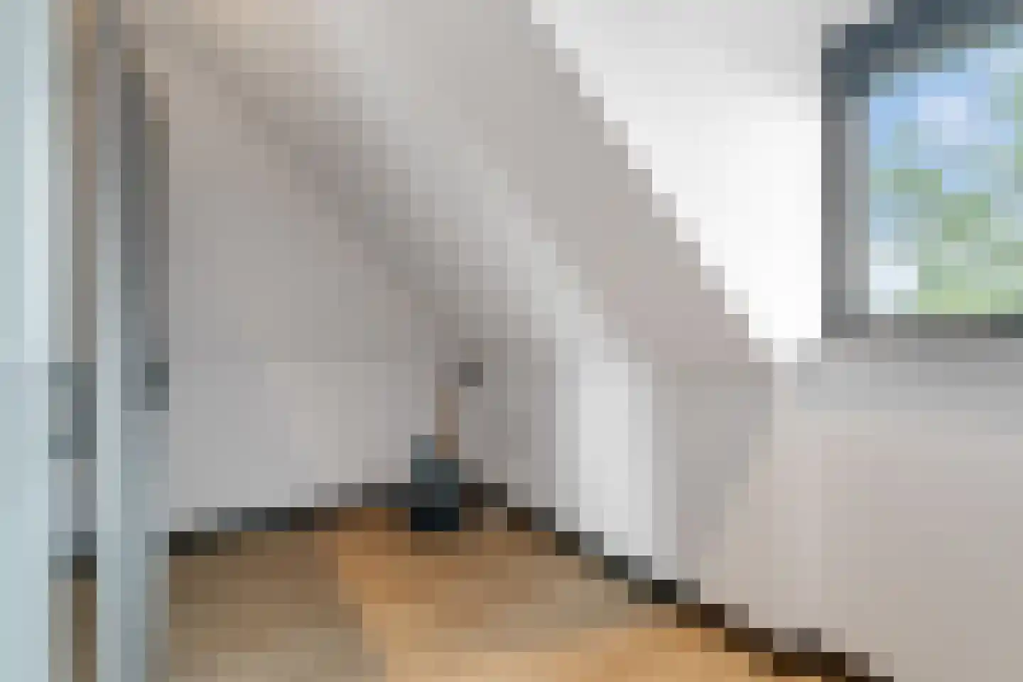Penningkruid 16 Vroomshoop thumbnail 32
