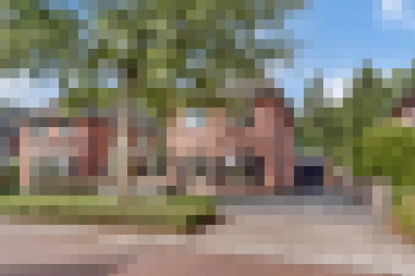 Penningkruid 16 Vroomshoop thumbnail 33