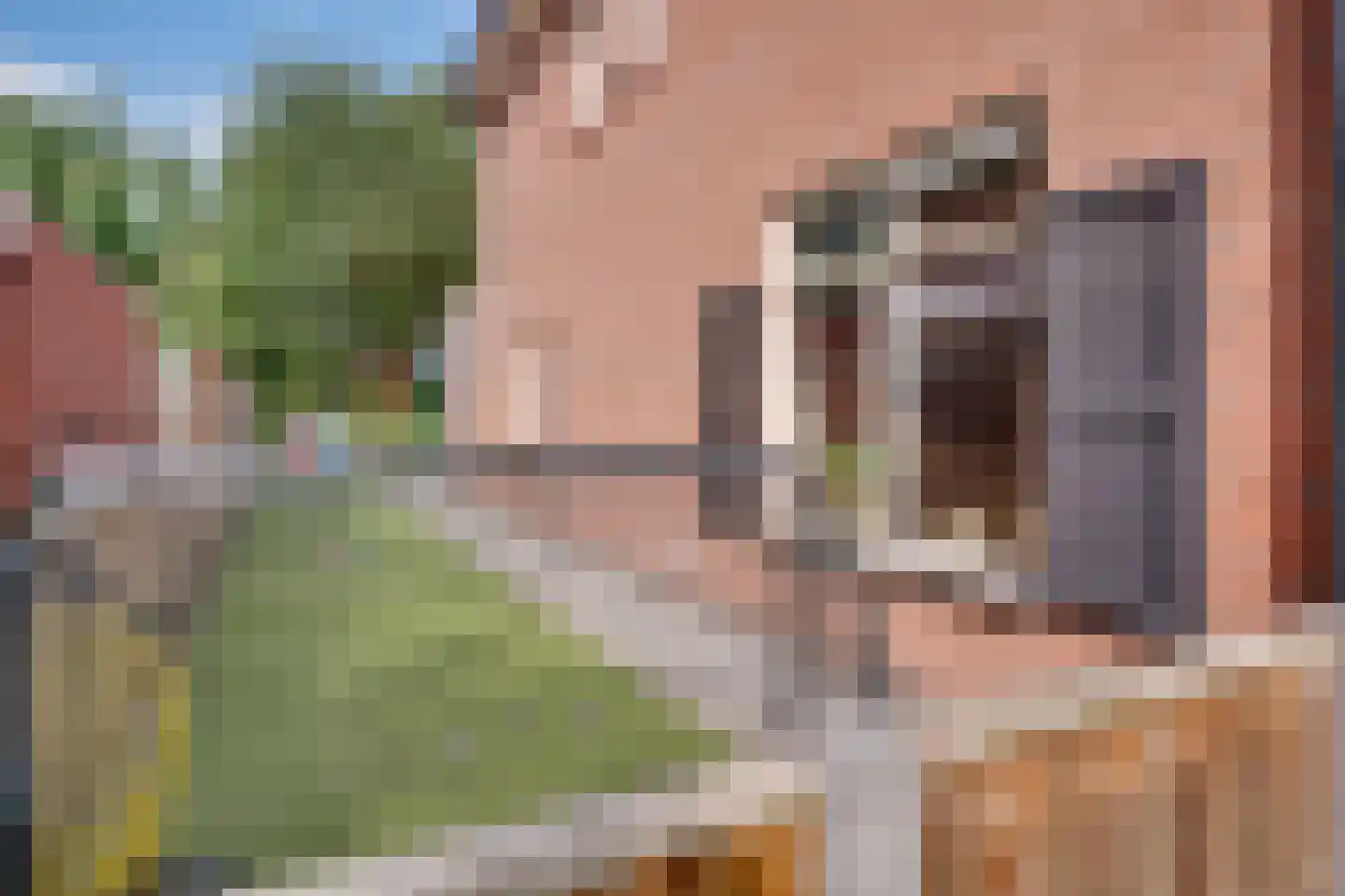 Penningkruid 16 Vroomshoop thumbnail 34