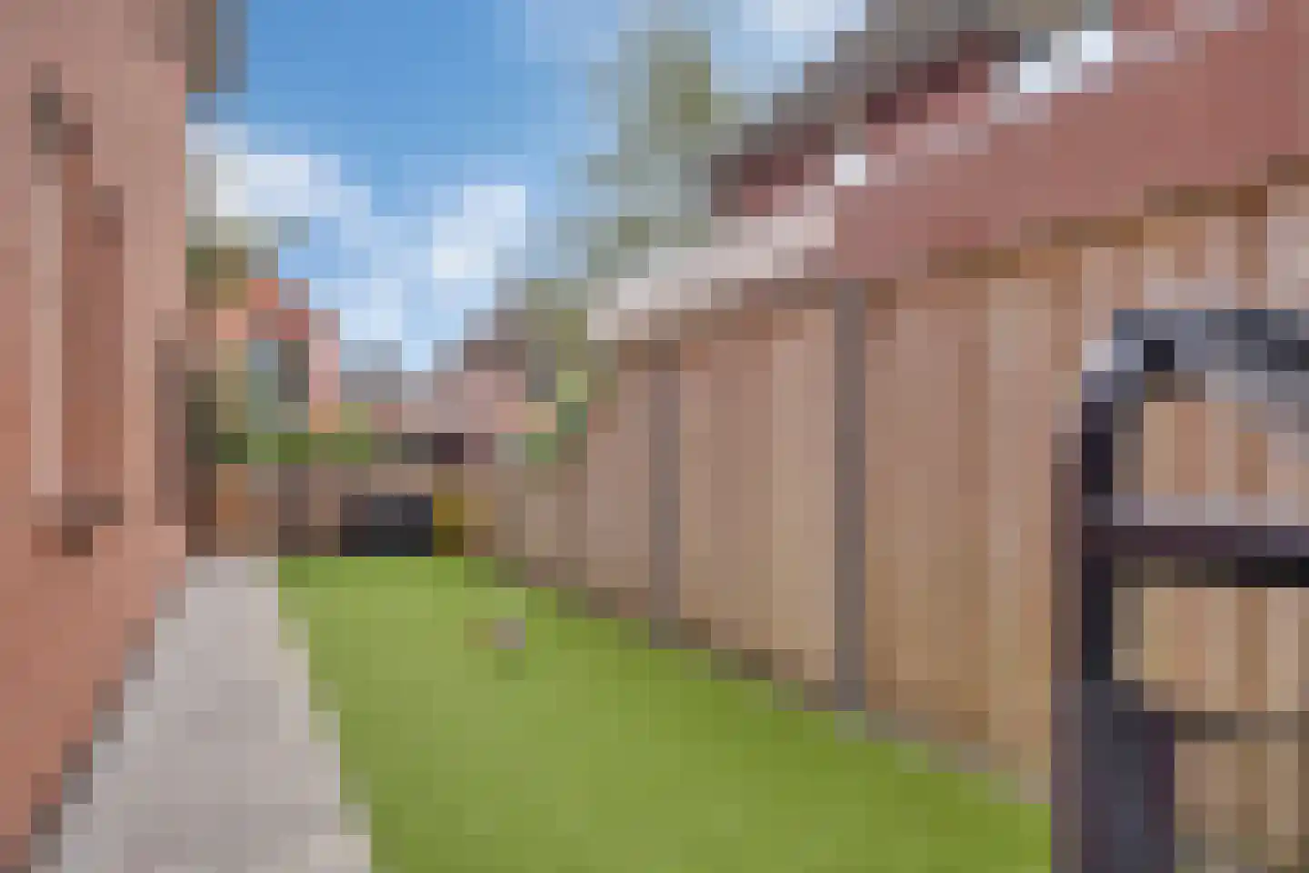 Penningkruid 16 Vroomshoop thumbnail 35