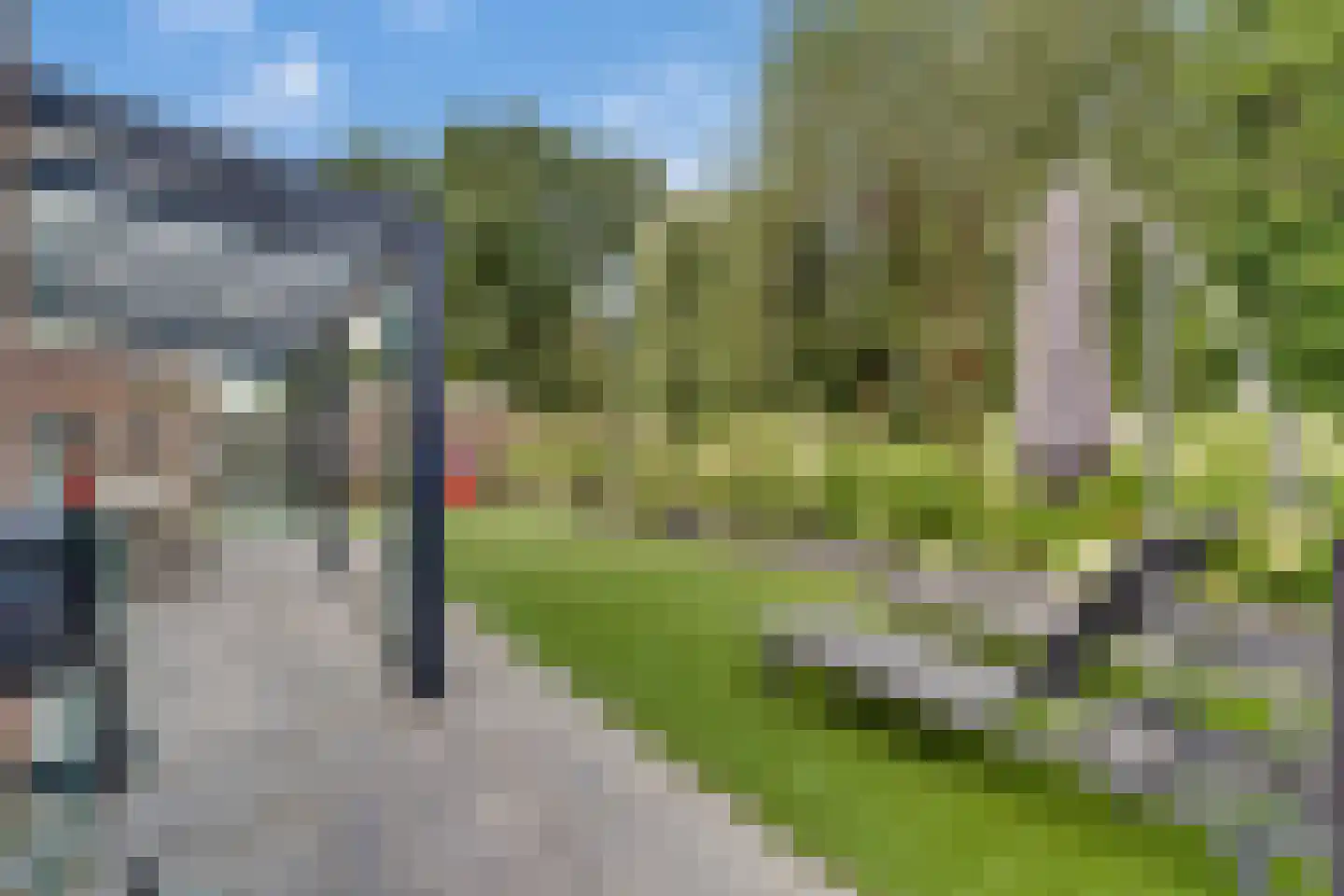 Penningkruid 16 Vroomshoop thumbnail 37