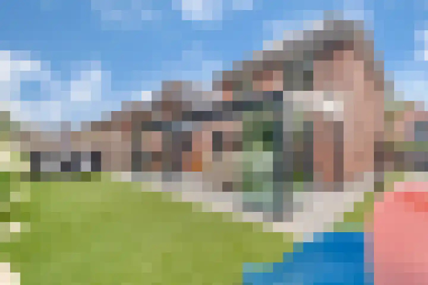 Penningkruid 16 Vroomshoop thumbnail 39