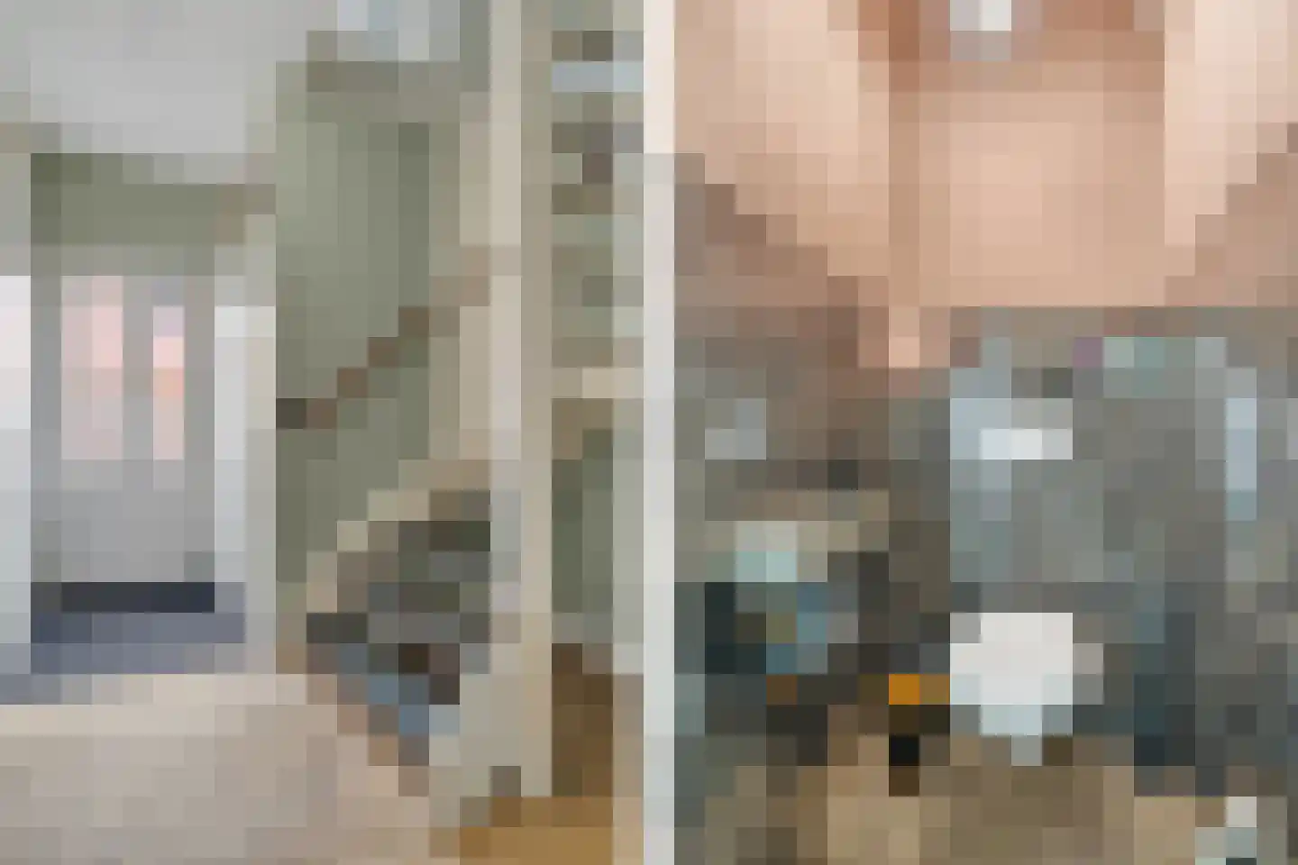 Penningkruid 16 Vroomshoop thumbnail 4