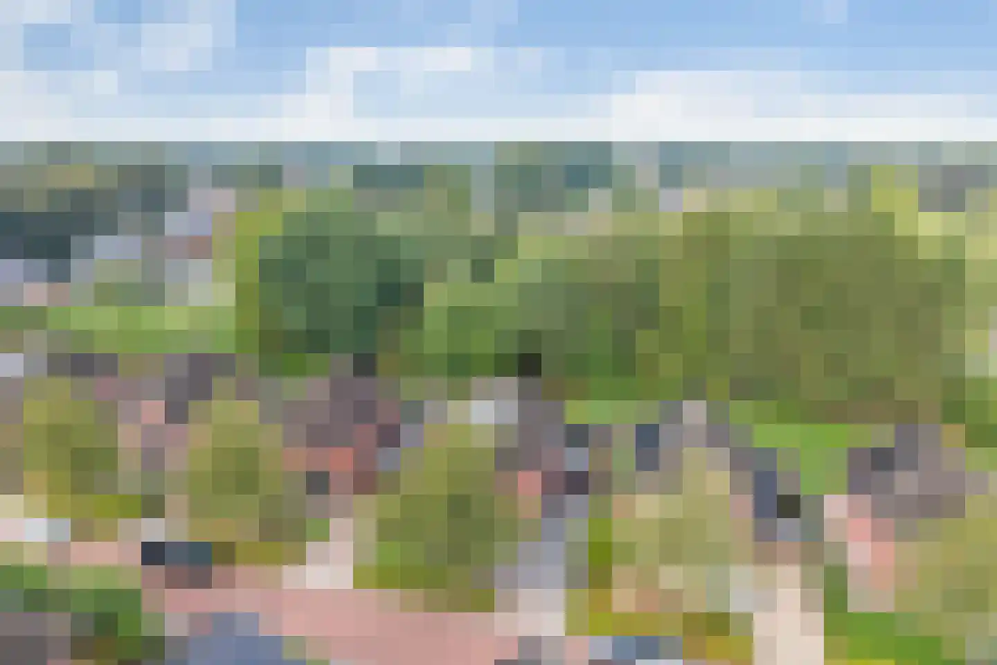 Penningkruid 16 Vroomshoop thumbnail 40