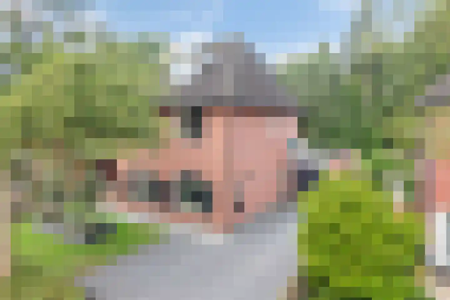 Penningkruid 16 Vroomshoop thumbnail 41