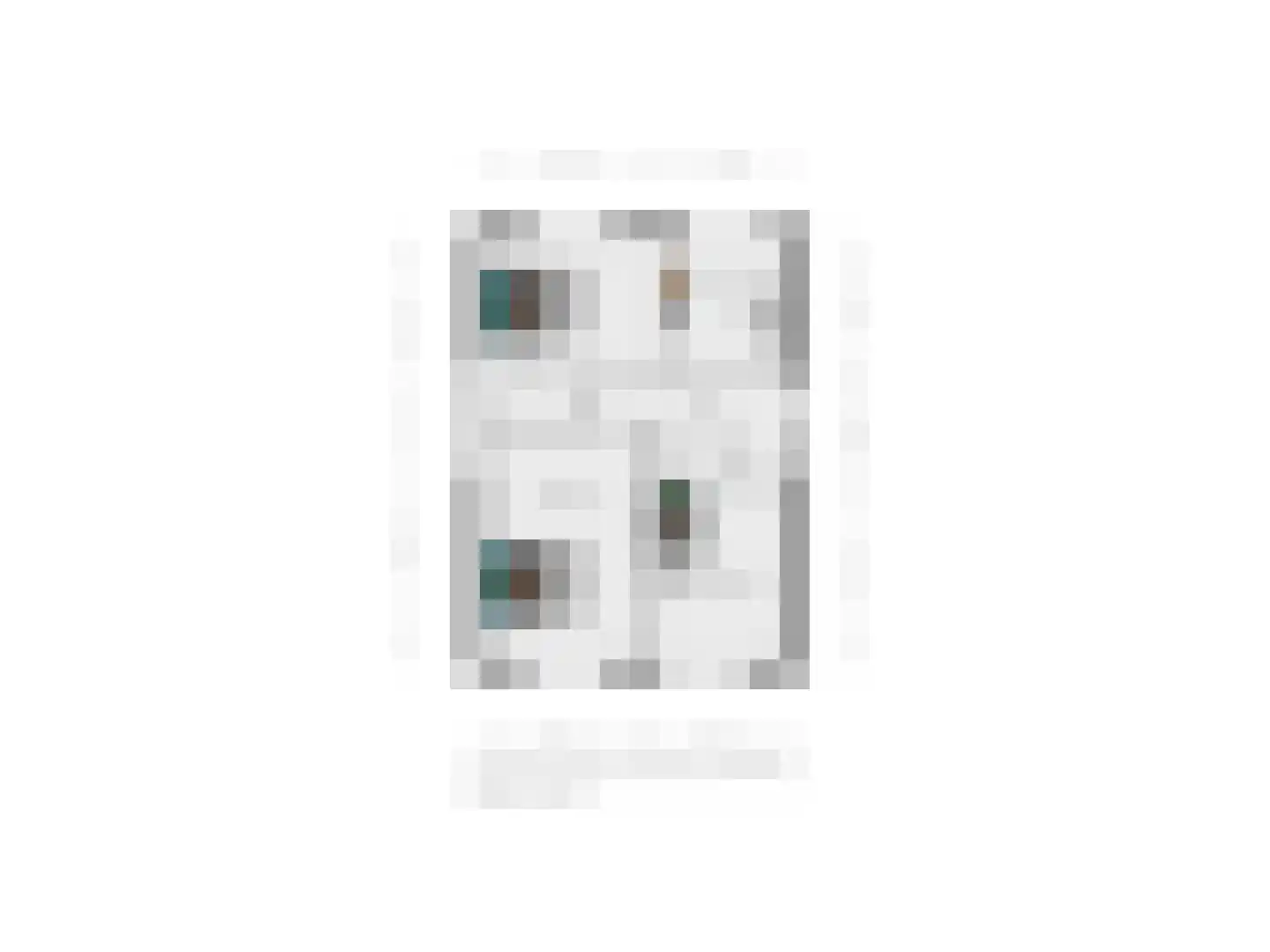 Penningkruid 16 Vroomshoop thumbnail 44