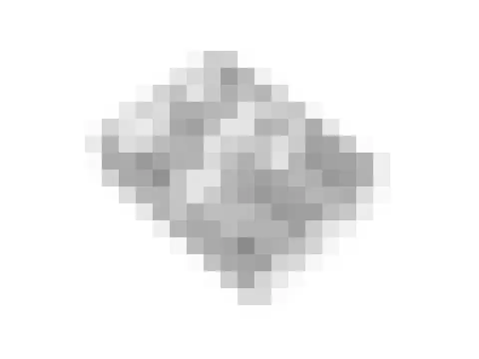 Penningkruid 16 Vroomshoop thumbnail 45