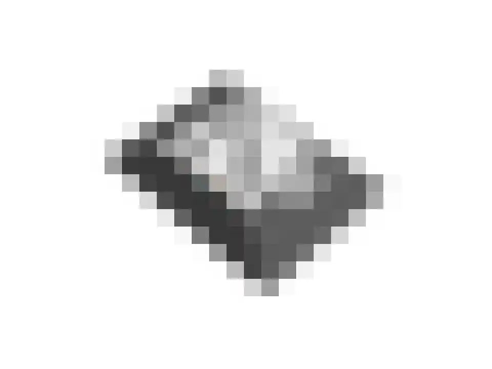 Penningkruid 16 Vroomshoop thumbnail 47