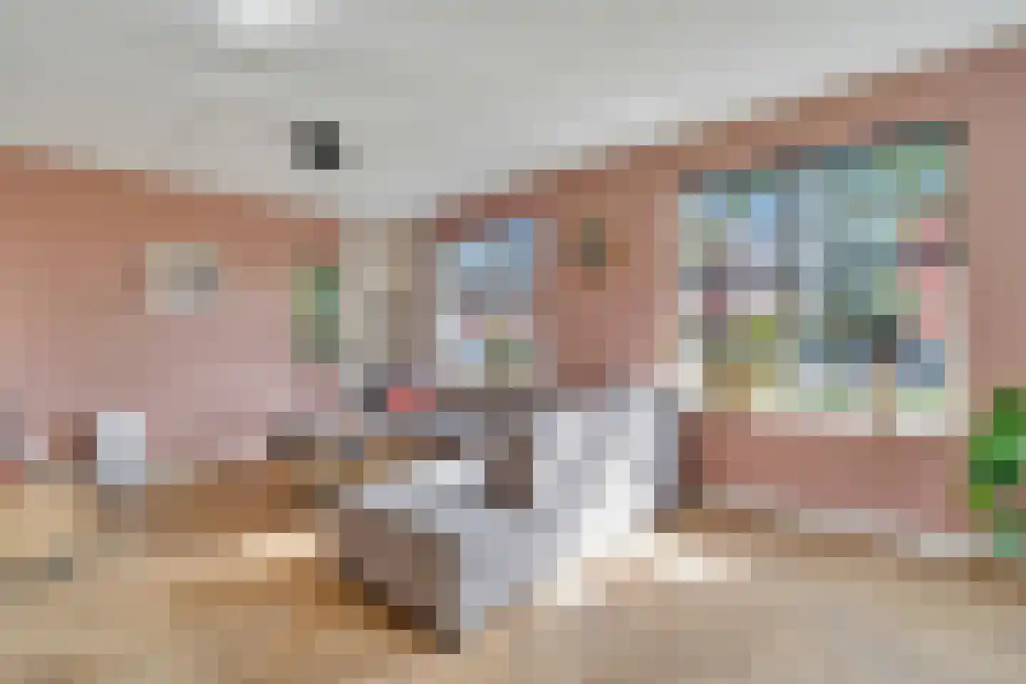 Penningkruid 16 Vroomshoop thumbnail 6
