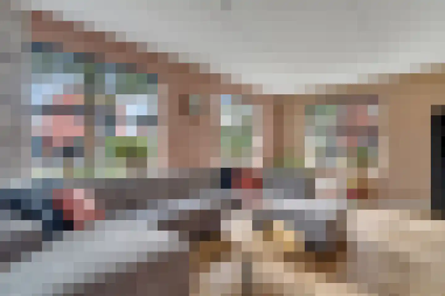 Penningkruid 16 Vroomshoop thumbnail 7