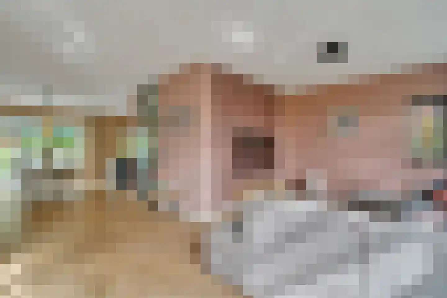 Penningkruid 16 Vroomshoop thumbnail 9