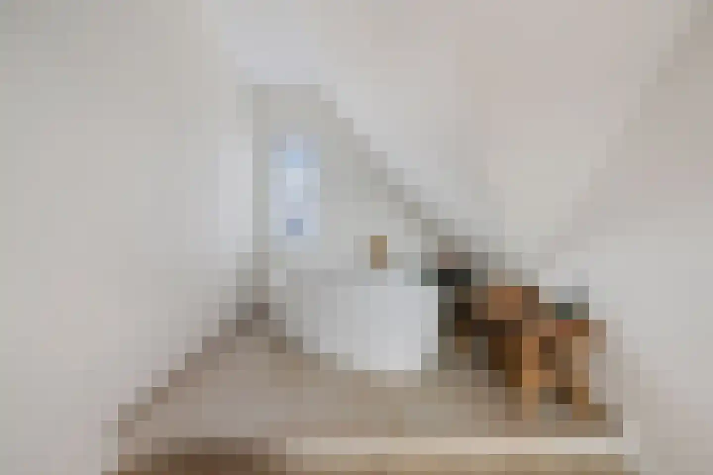 Penningkruid 17 Drachten thumbnail 31