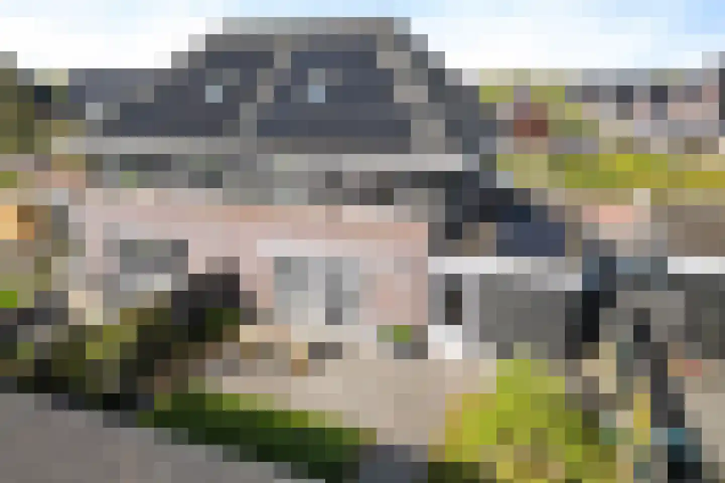 Penningkruid 17 Drachten thumbnail 34