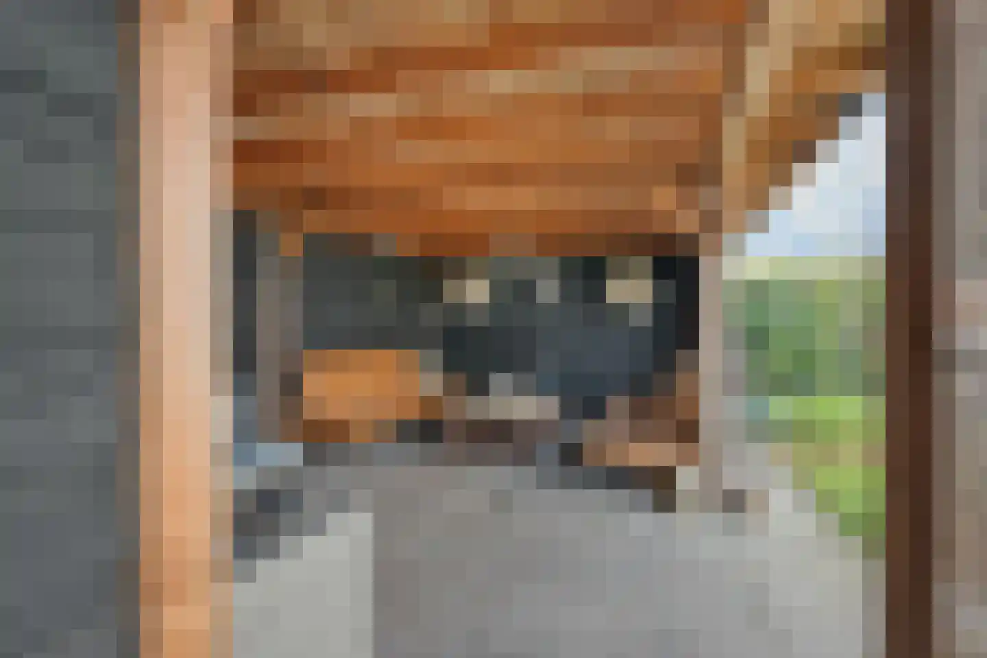 Penningkruid 17 Drachten thumbnail 38