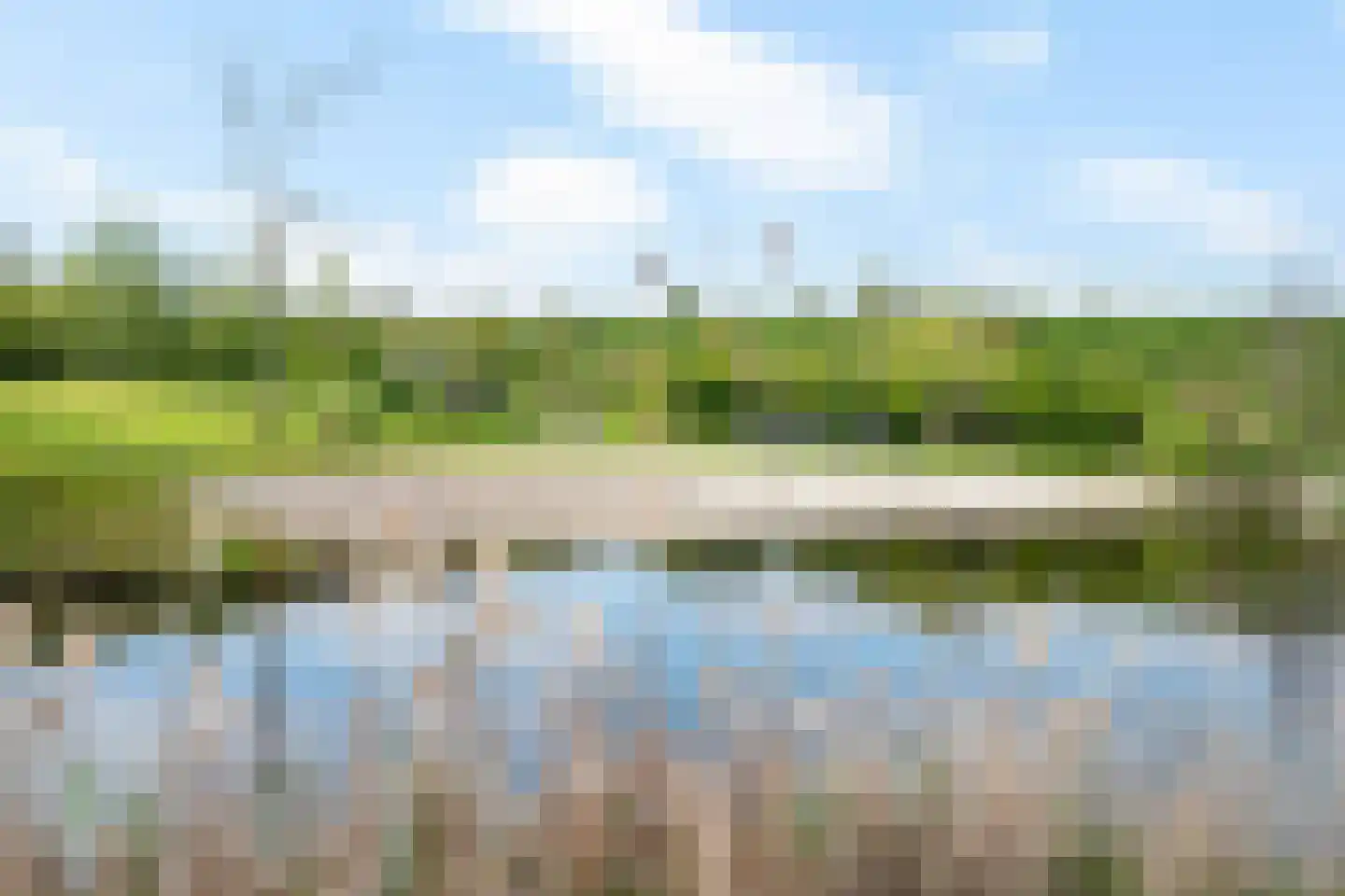 Penningkruid 17 Drachten thumbnail 44
