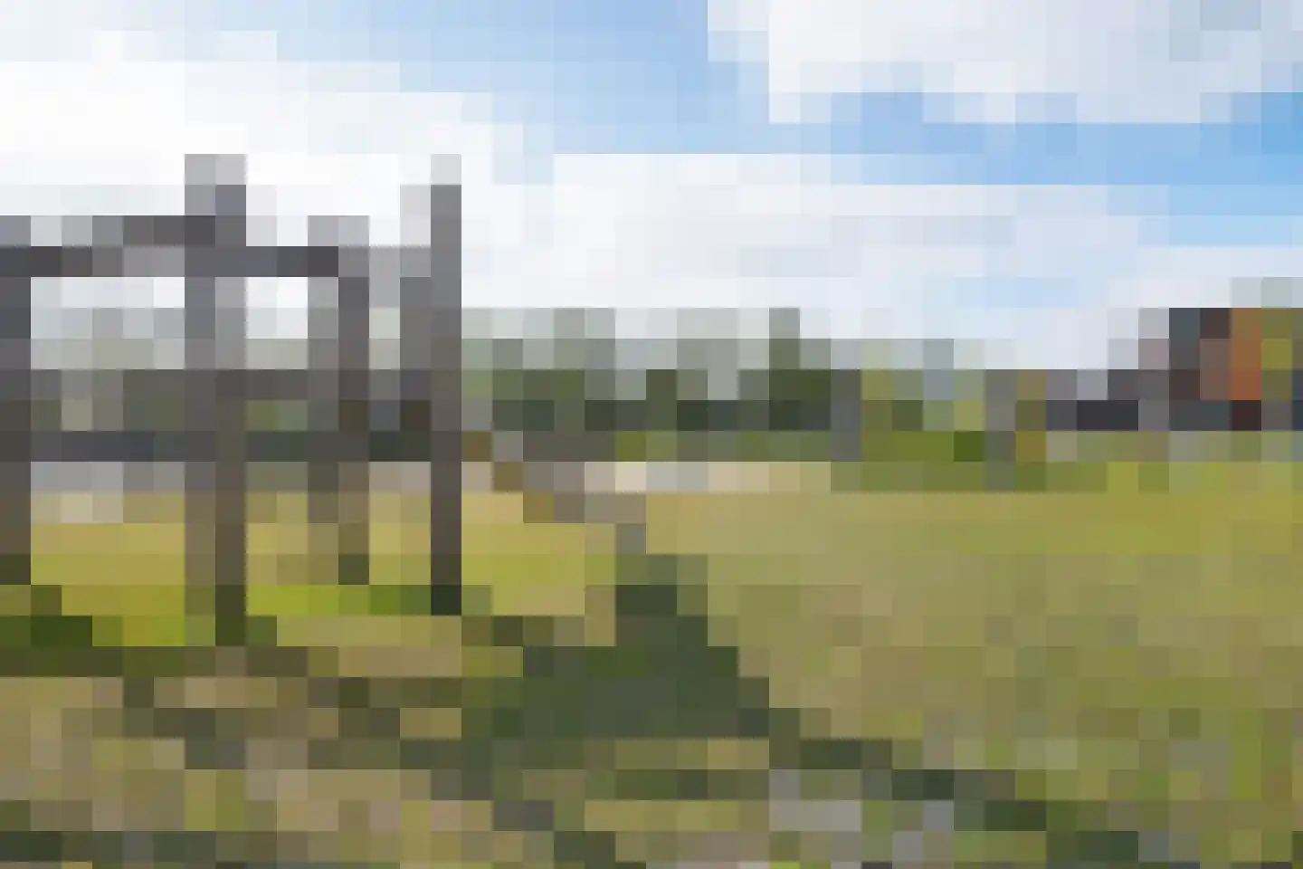 Penningkruid 17 Drachten thumbnail 45