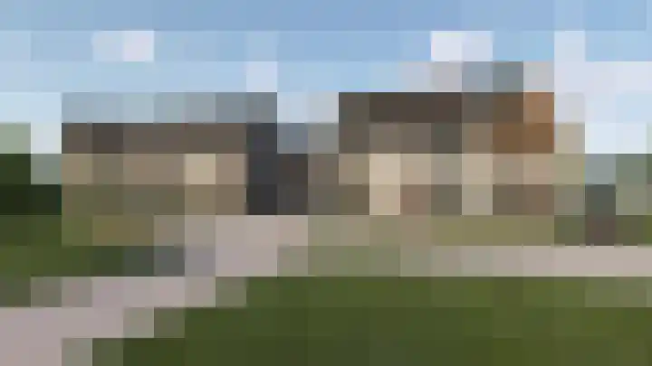 Penningkruid 2 in Vroomshoop