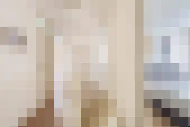 Penningkruid 2 Tegelen thumbnail 14