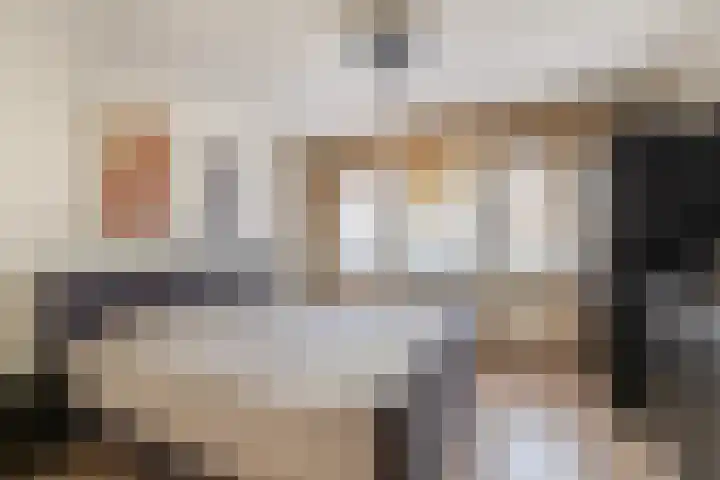 Penningkruid 2 Tegelen thumbnail 18