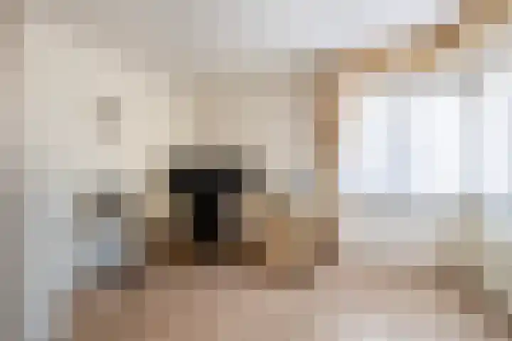 Penningkruid 2 Tegelen thumbnail 19