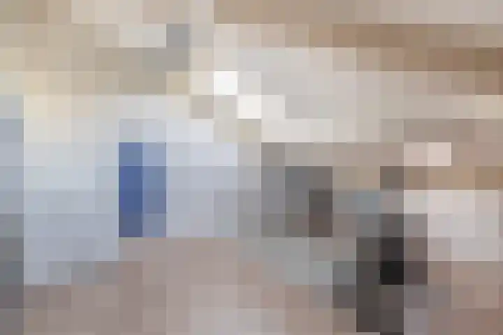 Penningkruid 2 Tegelen thumbnail 24