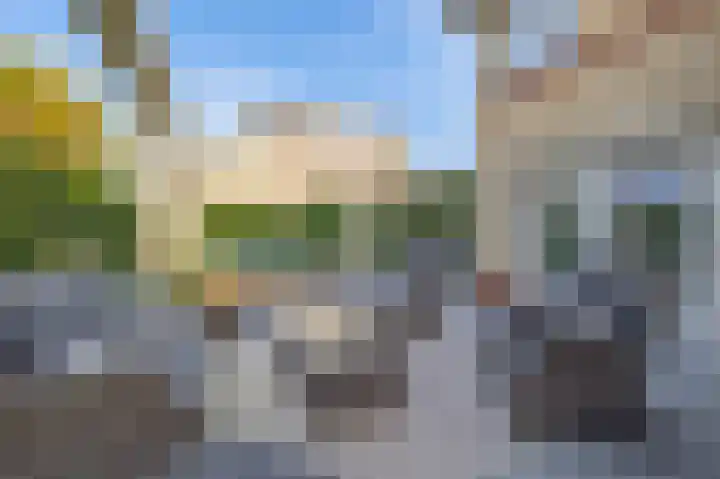 Penningkruid 2 Tegelen thumbnail 25