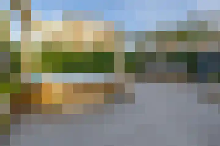 Penningkruid 2 Tegelen thumbnail 26