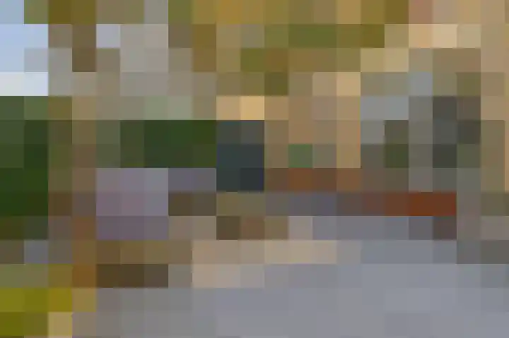 Penningkruid 2 Tegelen thumbnail 27