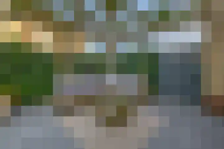Penningkruid 2 Tegelen thumbnail 28