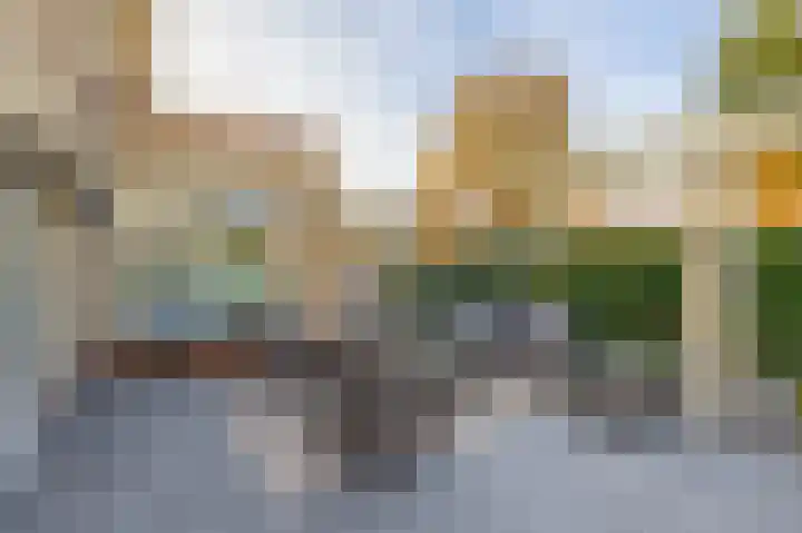 Penningkruid 2 Tegelen thumbnail 29