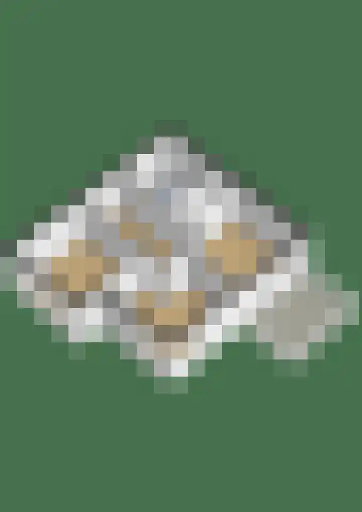 Penningkruid 2 Tegelen thumbnail 33