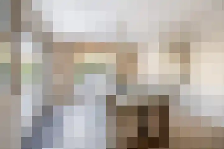 Penningkruid 2 Tegelen thumbnail 6