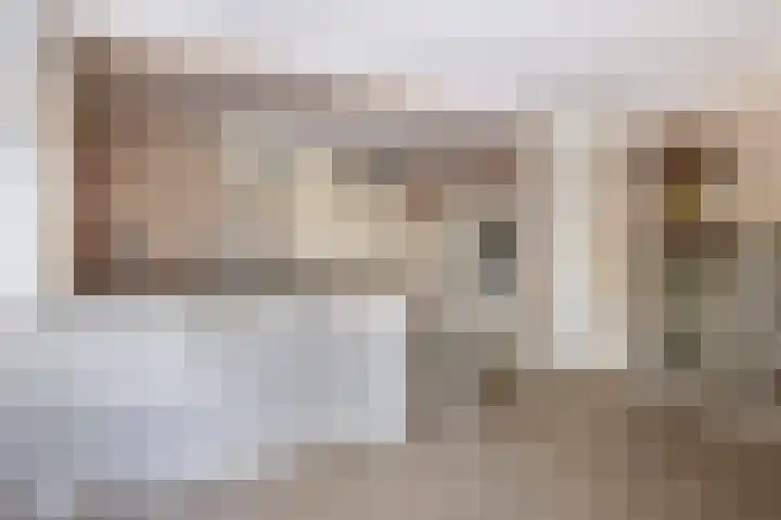 Penningkruid 2 Tegelen thumbnail 7