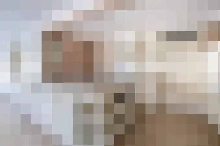 Penningkruid 2 Tegelen thumbnail 8