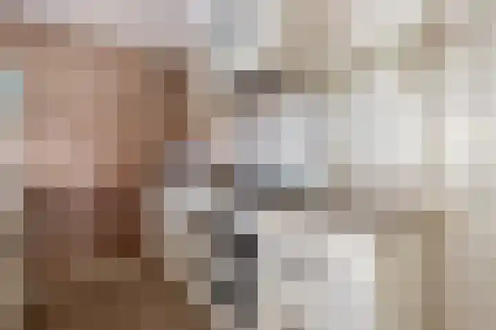 Penningkruid 2 Tegelen thumbnail 9