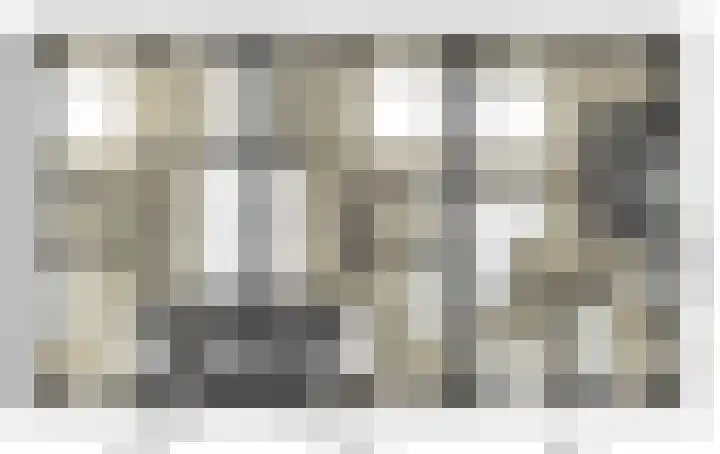Penningkruid 2 Vroomshoop thumbnail 11