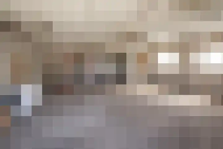 Penningkruid 2 Vroomshoop thumbnail 12