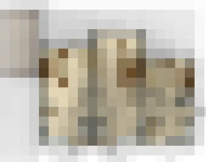 Penningkruid 2 Vroomshoop thumbnail 13