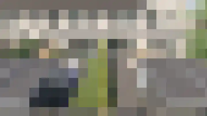Penningkruid 2 Vroomshoop thumbnail 14
