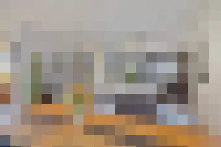 Penningkruid 2 Vroomshoop thumbnail 4