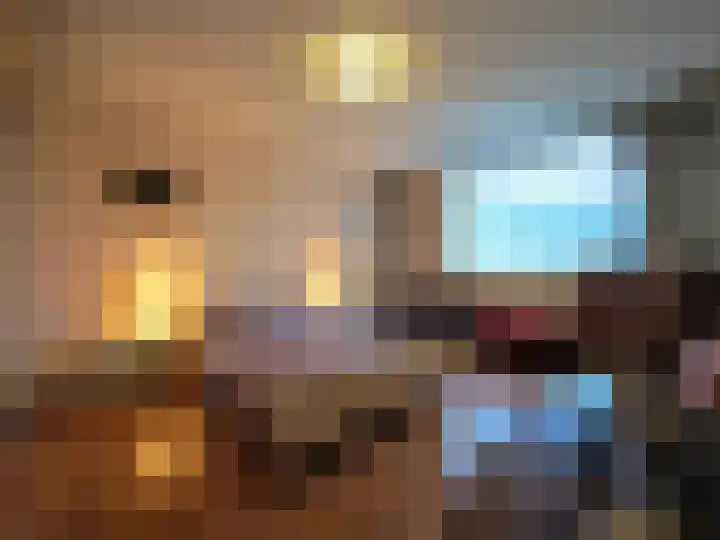 Penningkruid 2 Vroomshoop thumbnail 7