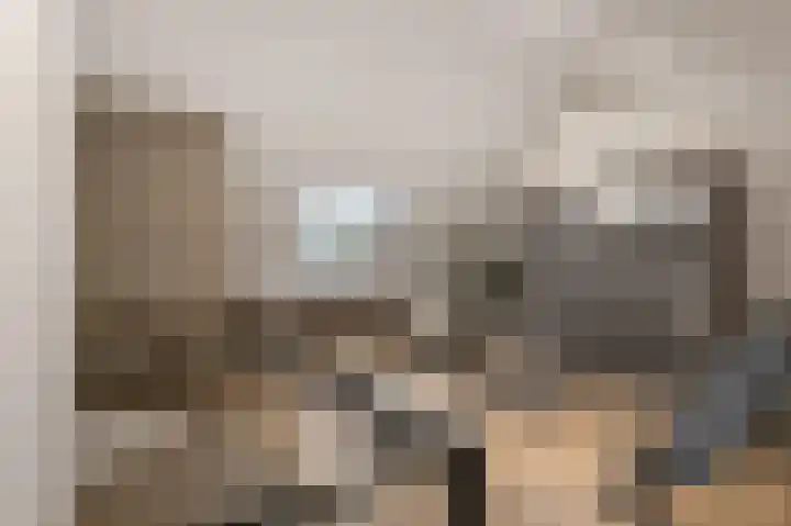Penningkruid 2 Vroomshoop thumbnail 8