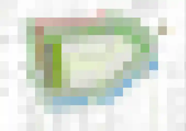 Penningkruid 2 Vroomshoop thumbnail 9