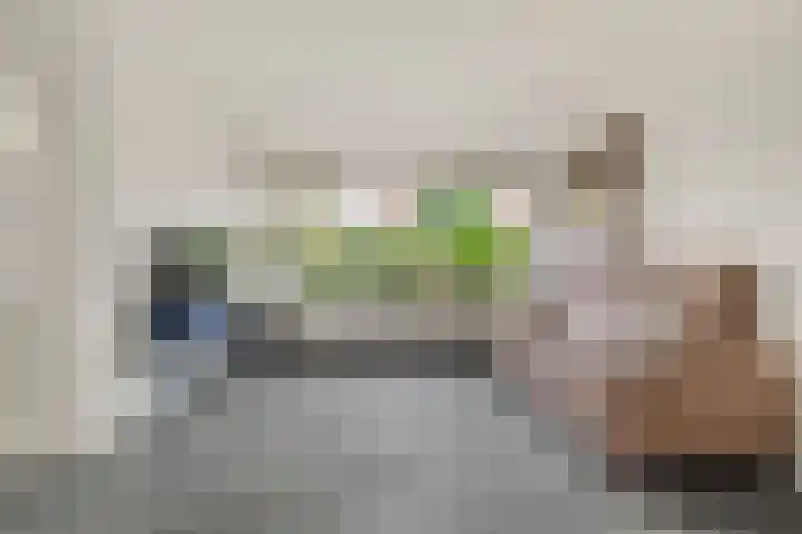 Penningkruid 22 Uitgeest thumbnail 10