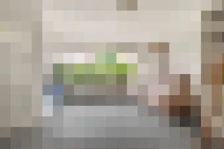 Penningkruid 22 Uitgeest thumbnail 11