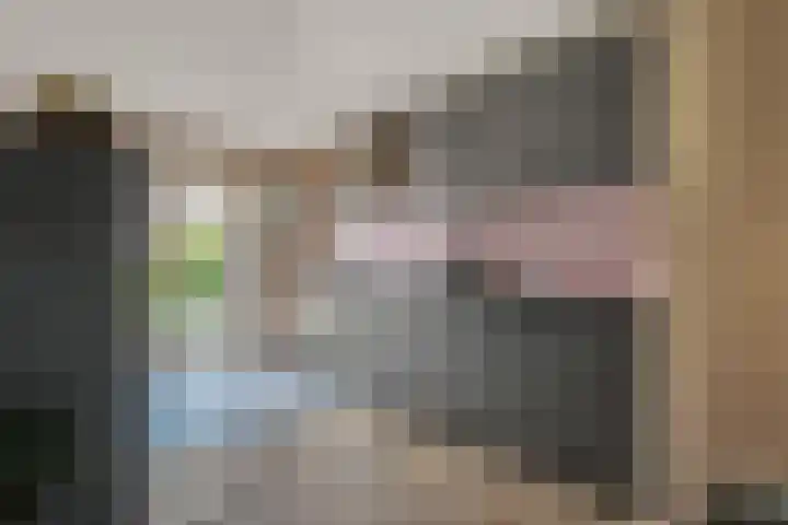 Penningkruid 22 Uitgeest thumbnail 15